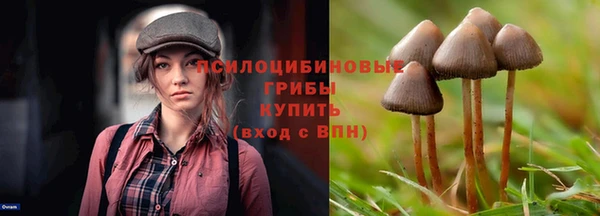 стафф Новодвинск