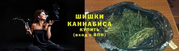 стафф Новодвинск