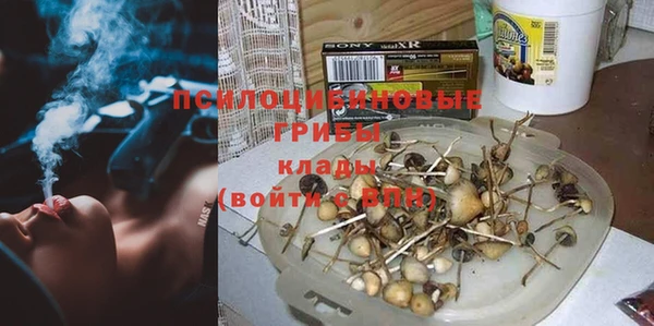 круглые Новозыбков