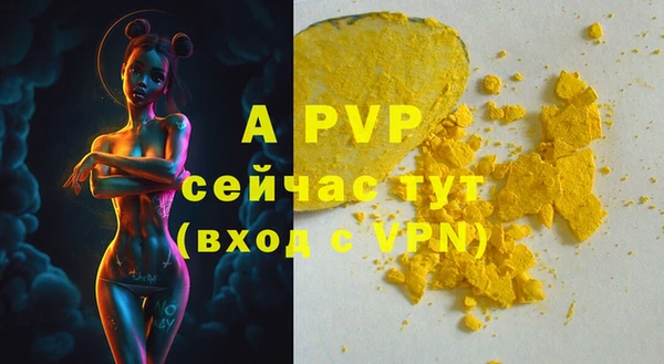 a pvp Ельня