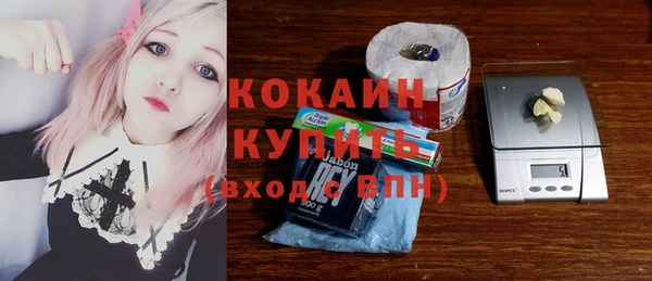 стафф Новодвинск