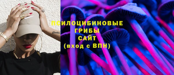 стафф Новодвинск
