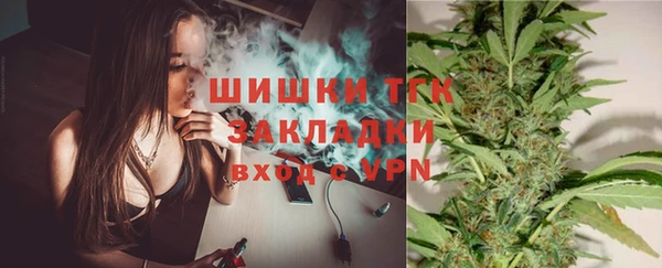 стафф Новодвинск